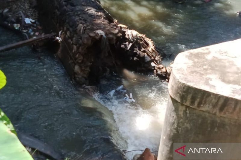 Petani Mukomuko Tunda Tanam Padi Akibat Irigasi Jebol