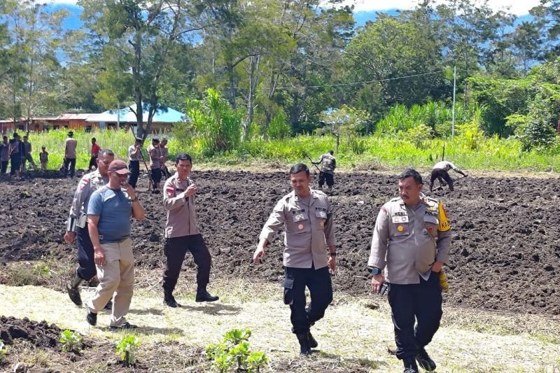 Polres Jayawijaya Bantu Warga Buka Lahan Jagung, Dukung Ketahanan Pangan