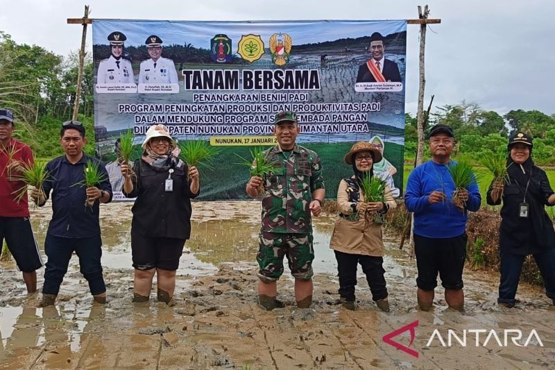 Kementan dan TNI Tanam Padi di Nunukan, Dorong Swasembada Pangan