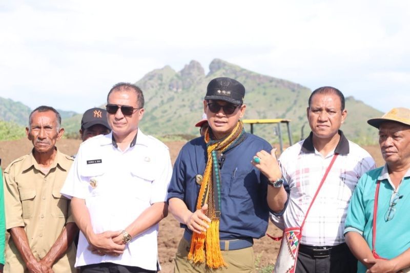 Nagekeo, NTT: Potensi Lumbung Pangan Nasional