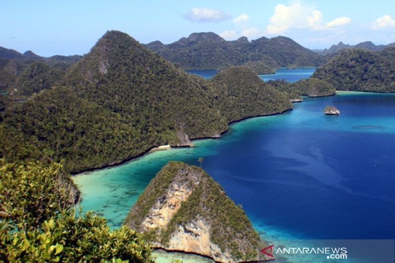 Raja Ampat: Surga Terumbu Karang Dorong Wisata Berbasis Ekosistem