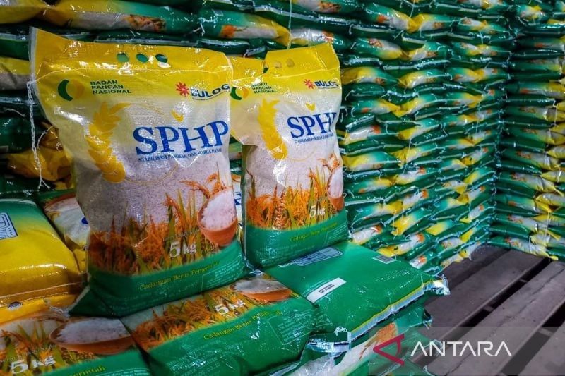 Stok Beras Natuna Aman hingga Ramadhan: Bulog Pastikan Ketersediaan