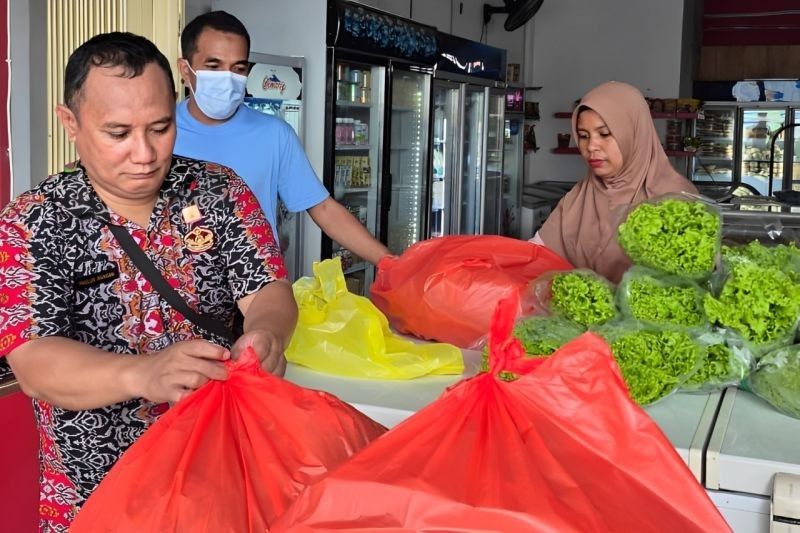 Sukses! Rutan Palu Pasarkan Selada Hidroponik Buatan Warga Binaan