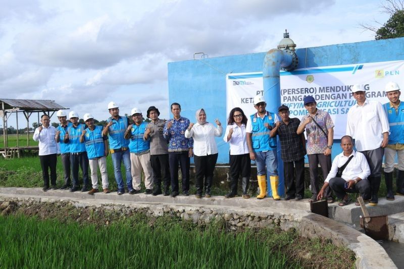 Listrik PLN Dongkrak Keuntungan Petani Sulsel: Panen Melonjak Tiga Kali Lipat!