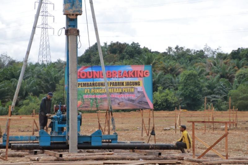 Pabrik Jagung Kalbar: Solusi Petani dan Pendorong Ekonomi