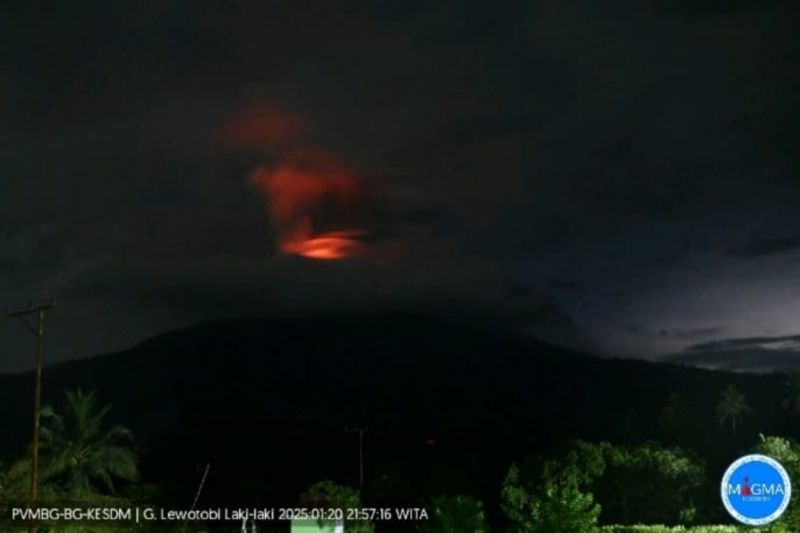 Gunung Lewotobi Laki-laki Erupsi, Lontarkan Abu 700 Meter