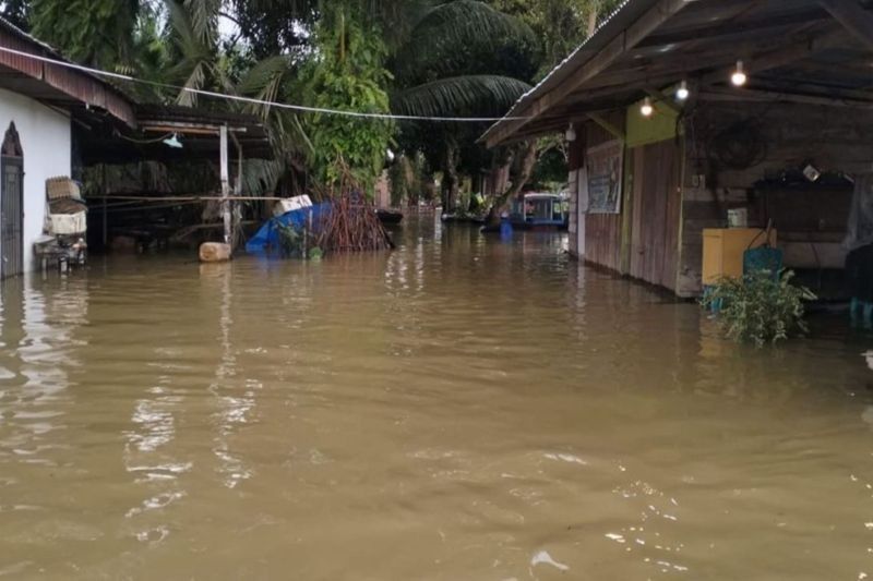 Banjir Rendam 319 Rumah di Desa Buluh Cina, Riau