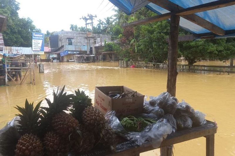 Riau Butuh Bantuan Pusat Hadapi Banjir Luas