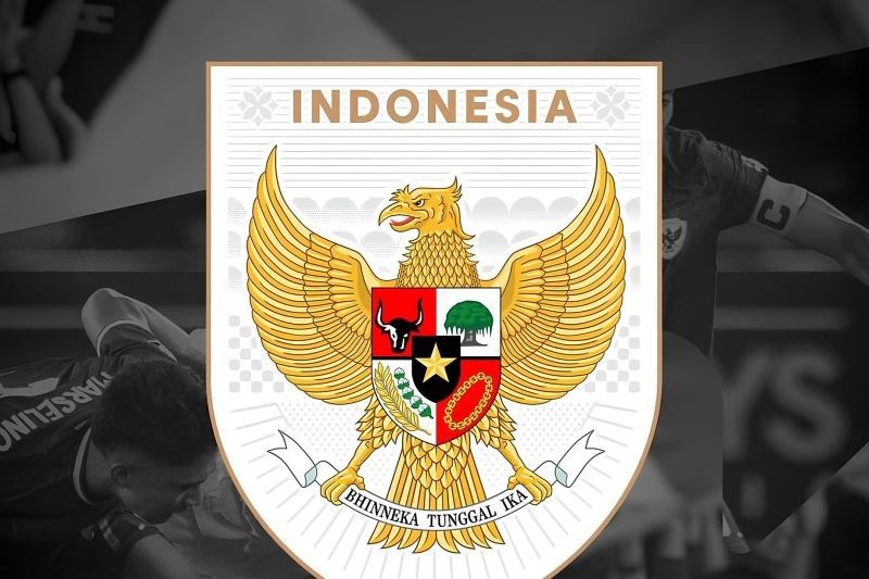 Logo Baru Jersey Timnas Indonesia: Makna dan Filosofi di Balik Desain