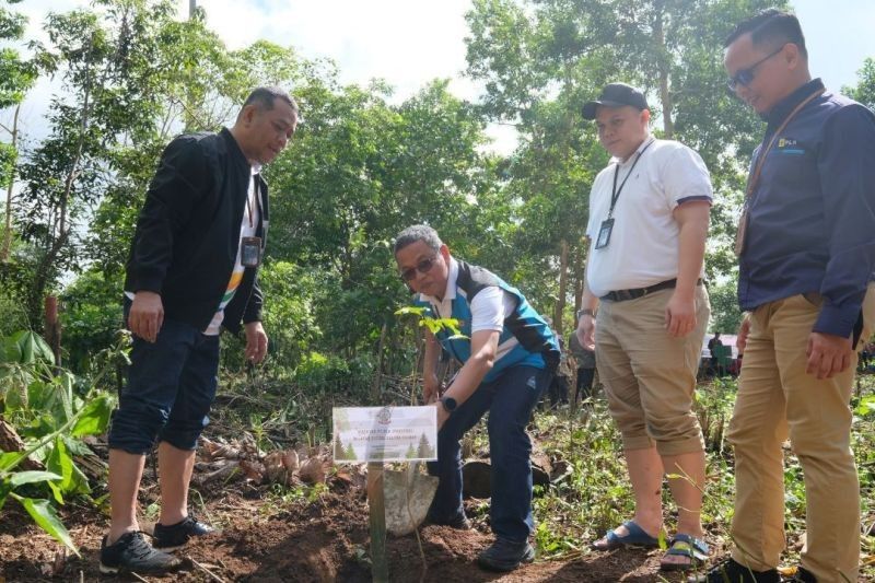 PLN UIP Sulawesi Tanam Ribuan Bibit Pohon di Sulsel dan Sulut untuk Pemulihan Lahan