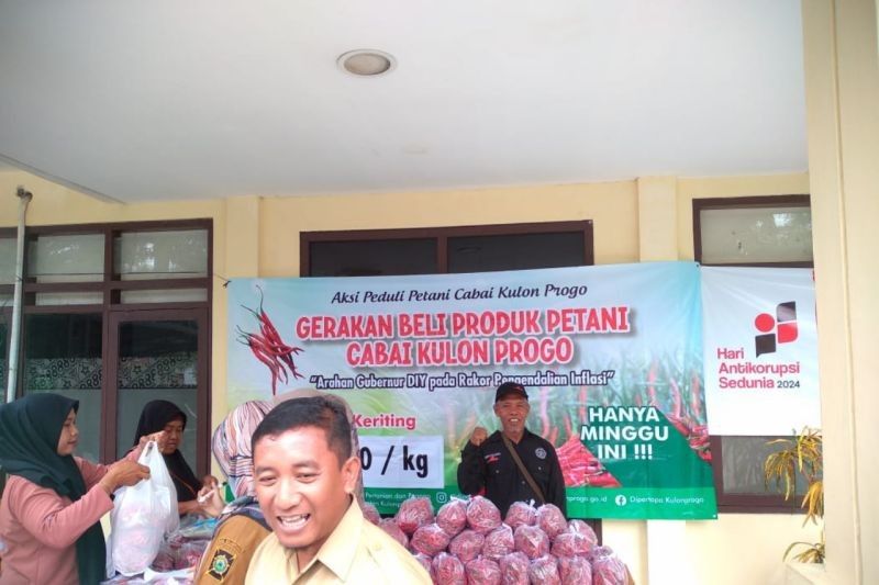 Pasar Murah Cabai Kulon Progo: Meredakan Harga Cabai yang Tinggi