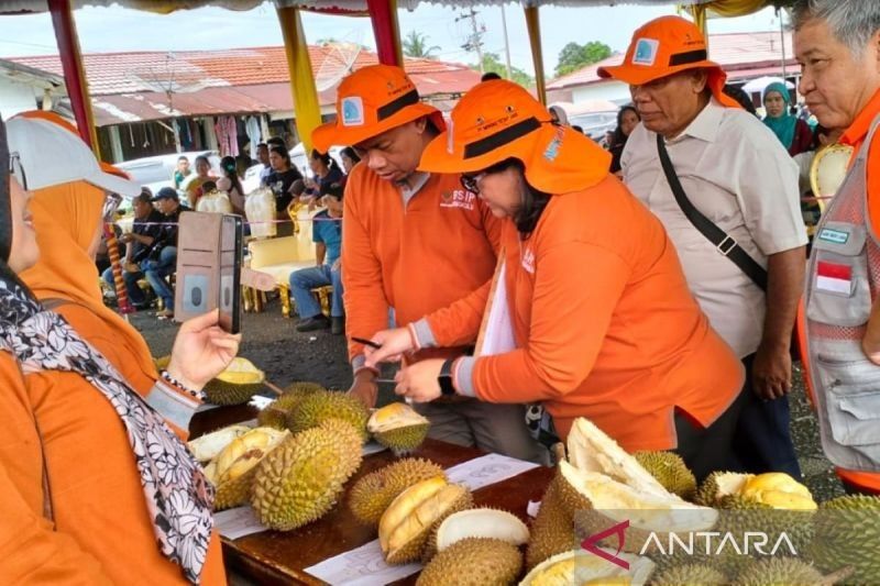 Kementerian Pertanian Dukung Pengembangan Durian Langka Rejang Lebong