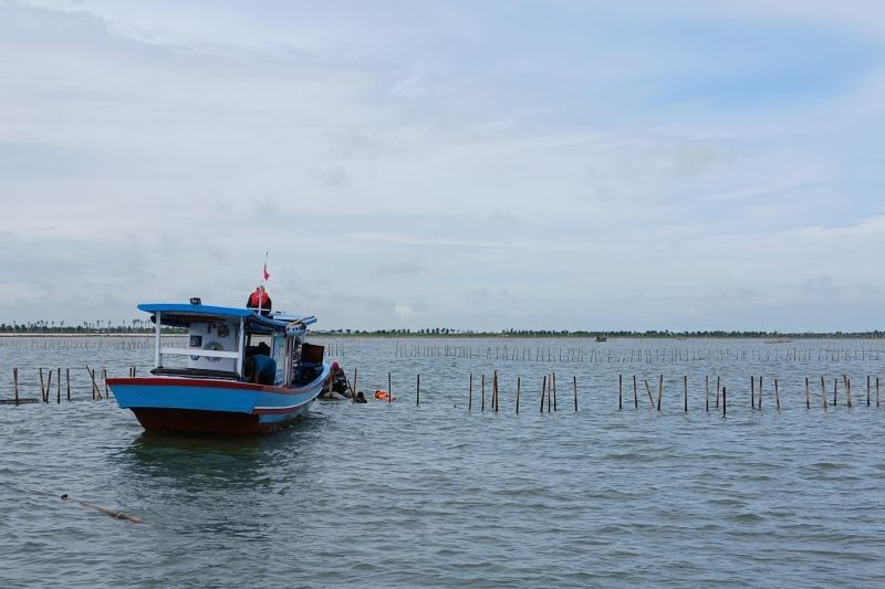 Polemik Pagar Laut 30 KM di Tangerang: Kades Bantah Perintahkan Pemasangan