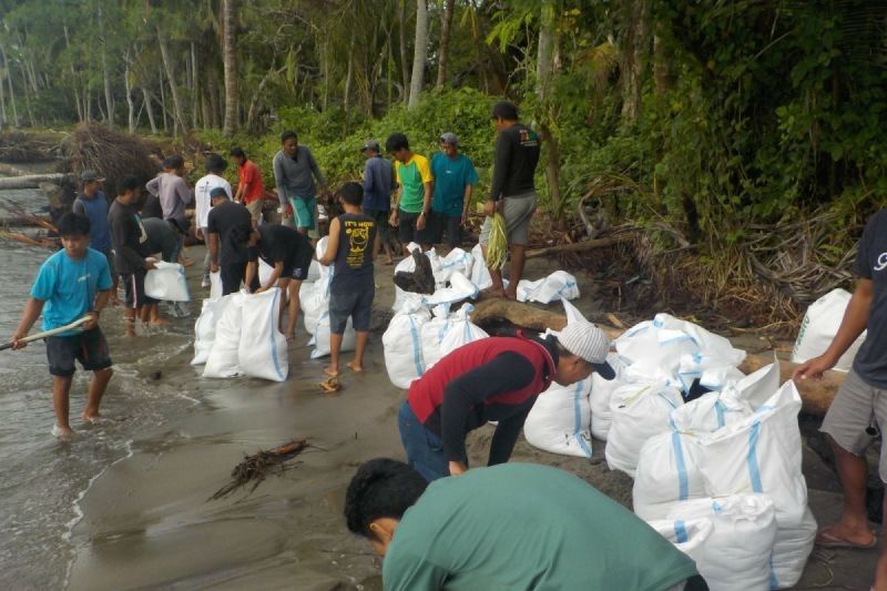 Warga Polewali Mandar Bangun Tanggul Darurat Cegah Abrasi Pantai