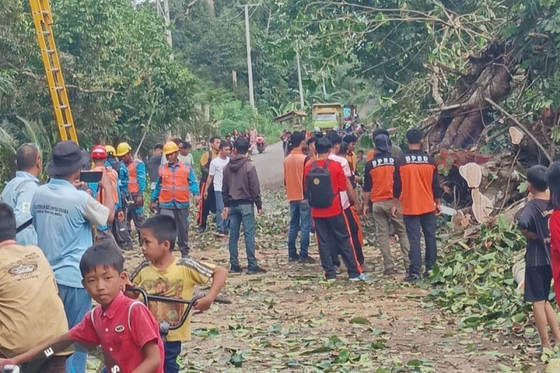 BPBD OKU Bersihkan Pohon Tumbang di Desa Tanjung Baru