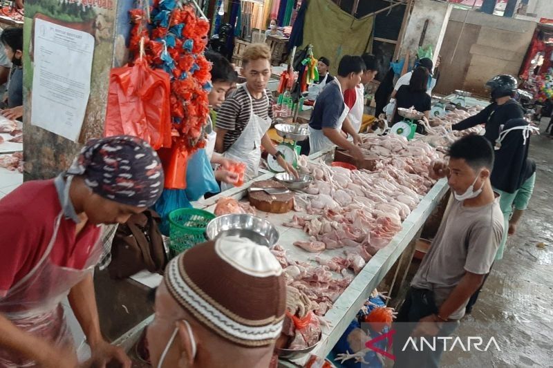 Harga Daging Ayam di Tanjungpinang Naik Jelang Imlek