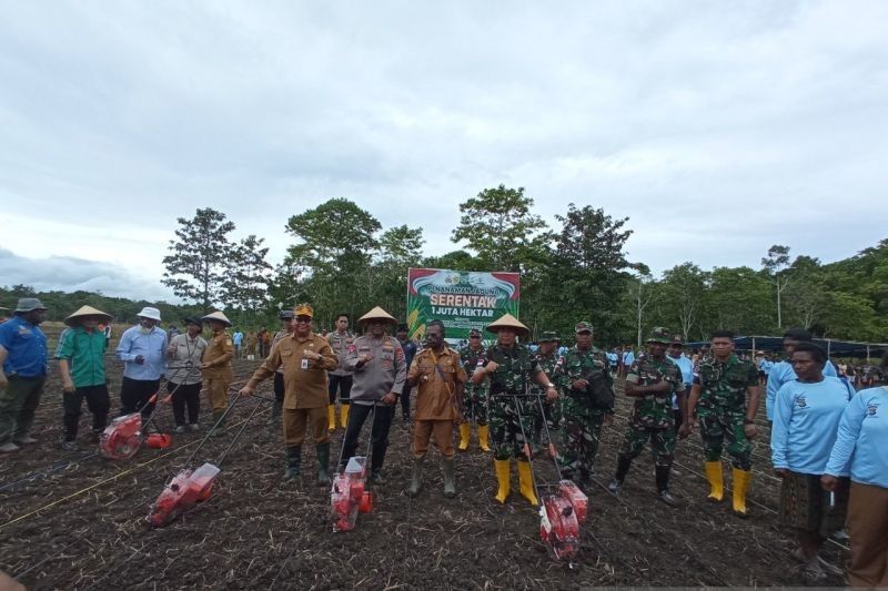 Polda Papua dan Pemkab Jayapura Tanam Jagung 100 Hektar, Dukung Swasembada Pangan Nasional