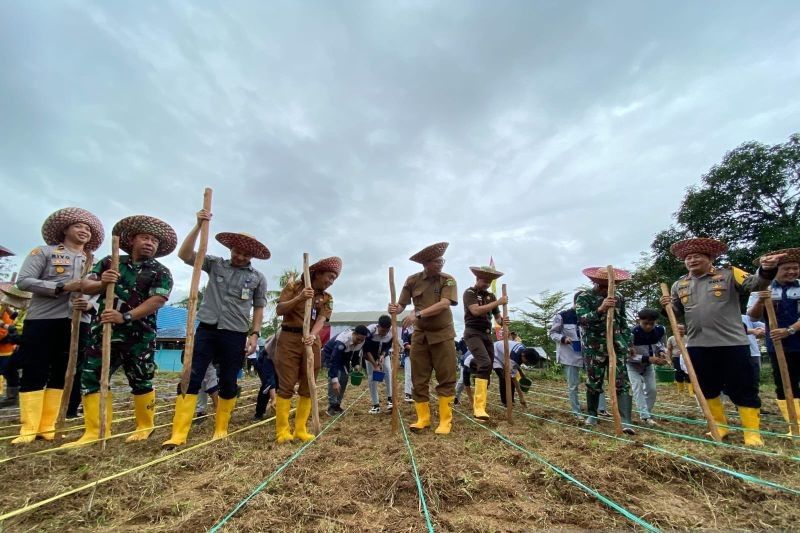 Polres Tapin Tanam Jagung: Dorong Swasembada Pangan Nasional