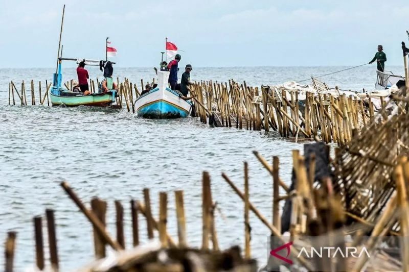 Pelaku Pagar Laut Ilegal di Tangerang Didenda; Menteri Trenggono Pastikan Hukum Tegak