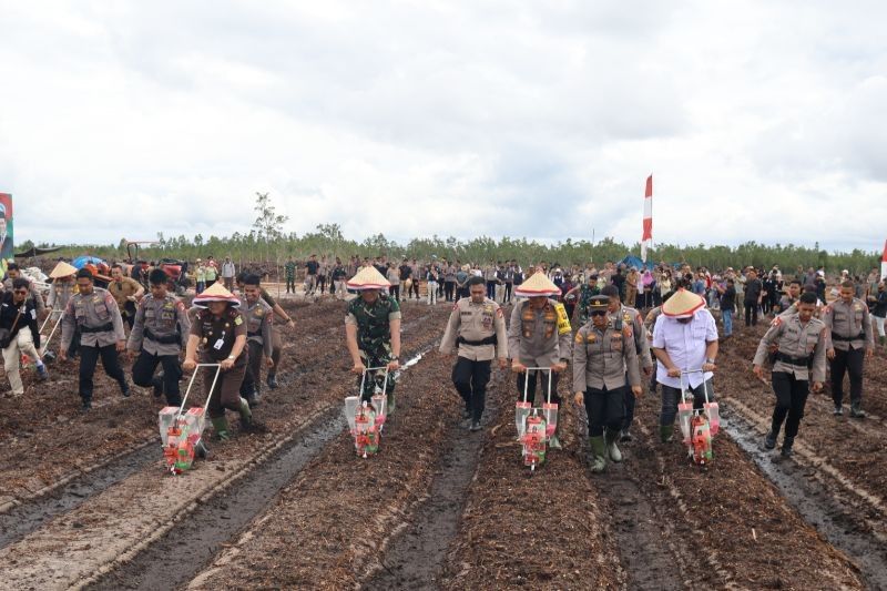 Polda Kalteng Tanam Jagung 1.200 Hektare, Dukung Program Ketahanan Pangan Nasional