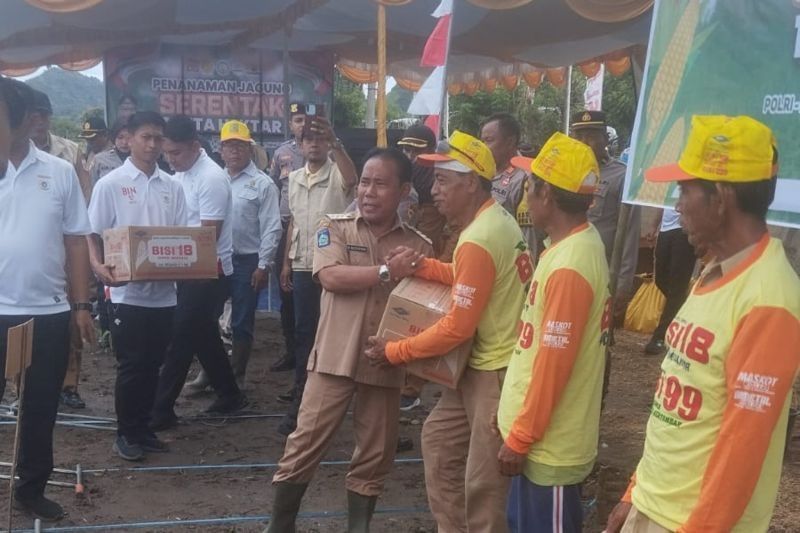 Bupati Sumbawa Barat Serahkan Bantuan Bibit Jagung 125 Ton untuk Ketahanan Pangan