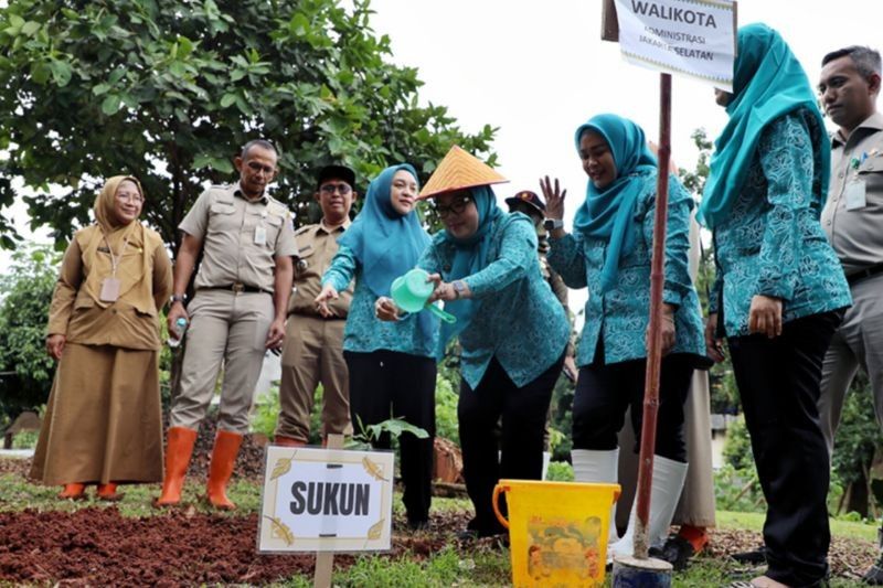 TP PKK Jaksel Dorong Pertanian Perkotaan demi Ketahanan Pangan