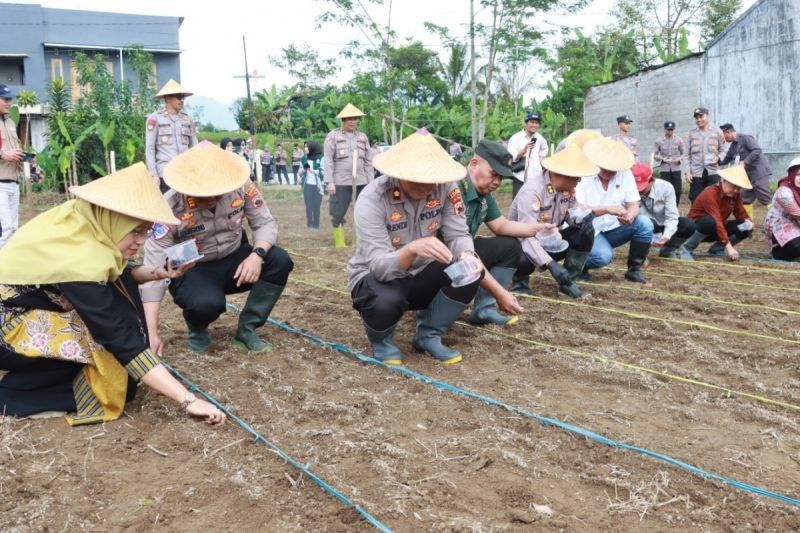 Polres Wonosobo Tanam Jagung, Dukung Ketahanan Pangan Nasional