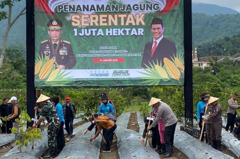 Pemkab Tasikmalaya dan Polres Tanam Jagung di Lahan 34 Hektare untuk Ketahanan Pangan