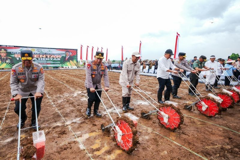 Polri dan Kementan Tanam 1 Juta Hektare Jagung: Dorong Swasembada Pangan 2025