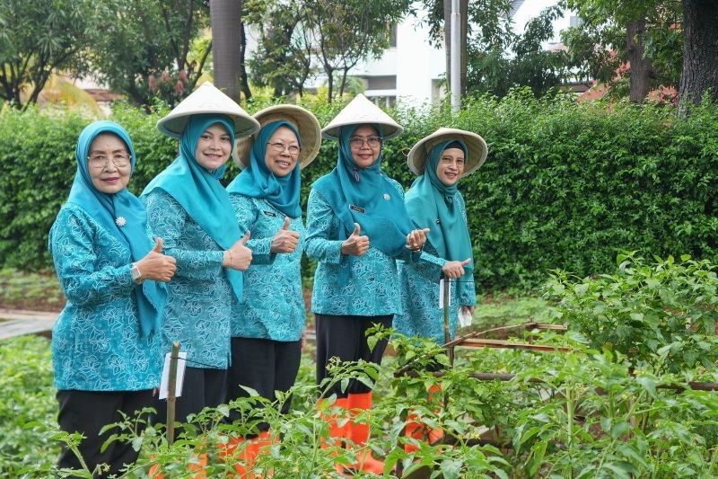 Jakut Sukses Tanam Pangan di 93 Lokasi, Dorong Swasembada Pangan