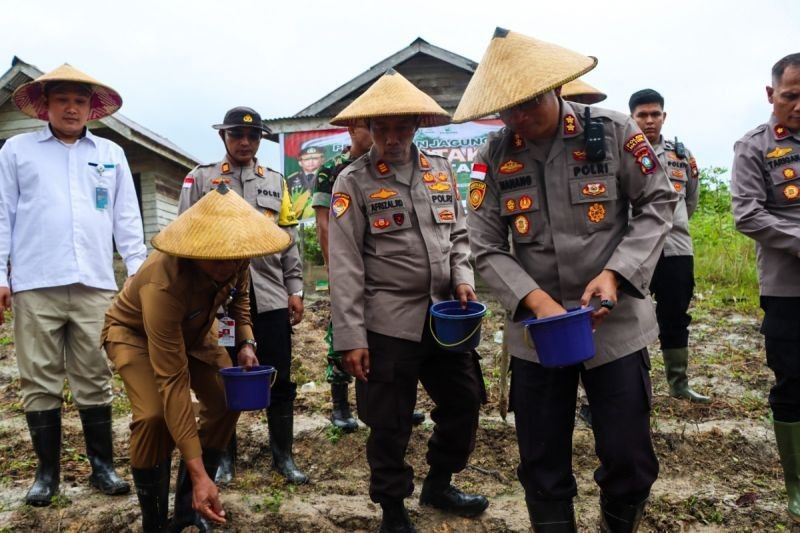 Polres Natuna Tanam 17.500 Benih Jagung, Dukung Ketahanan Pangan Nasional