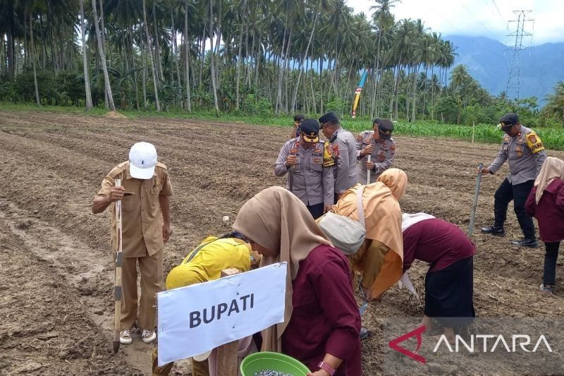 Polres Sigi Tanam Jagung 2.500 Hektare Dukung Swasembada Pangan