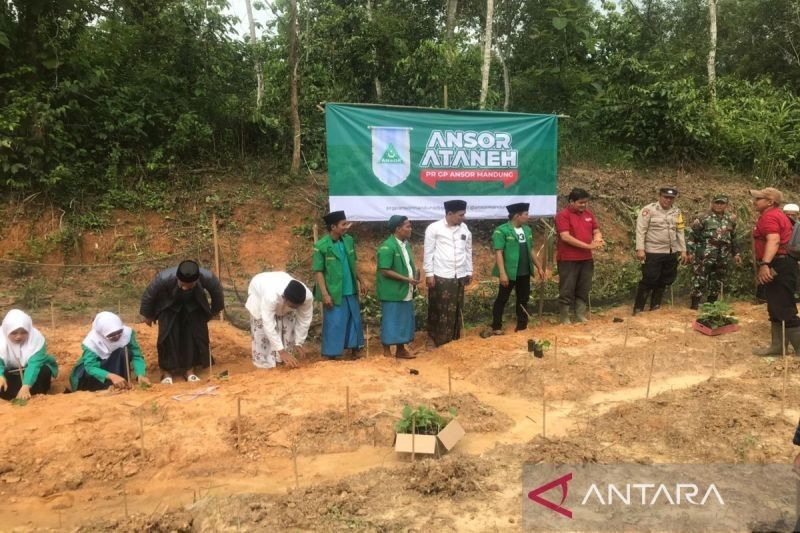 GP Ansor Bangkalan Dukung Swasembada Pangan Lewat Program Ansor Ataneh