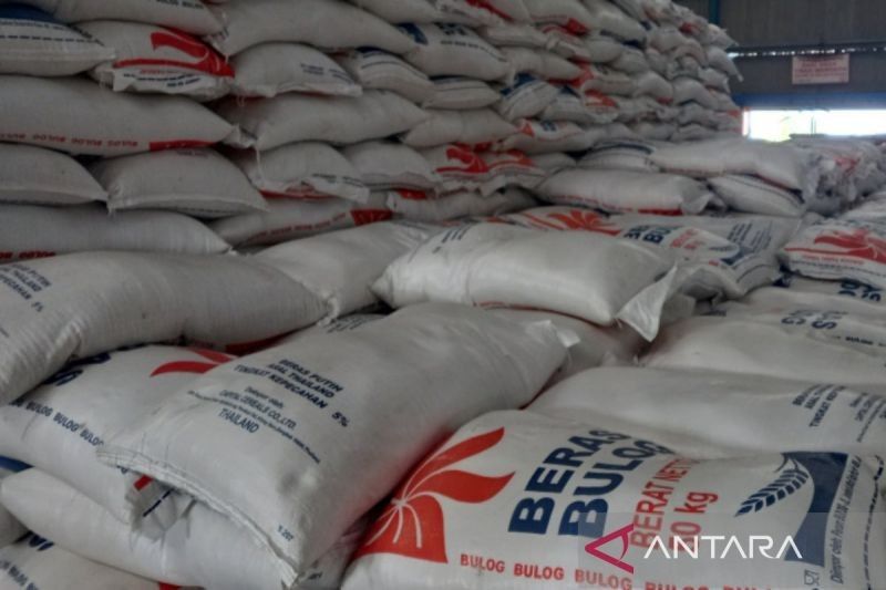 Stok Beras Bengkulu Aman hingga Ramadhan 2025: Bulog Pastikan Ketersediaan 1.700 Ton