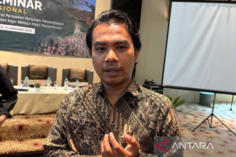 IFM Desak Pemerintah Perbaiki Tata Kelola Kehutanan Cegah Deforestasi