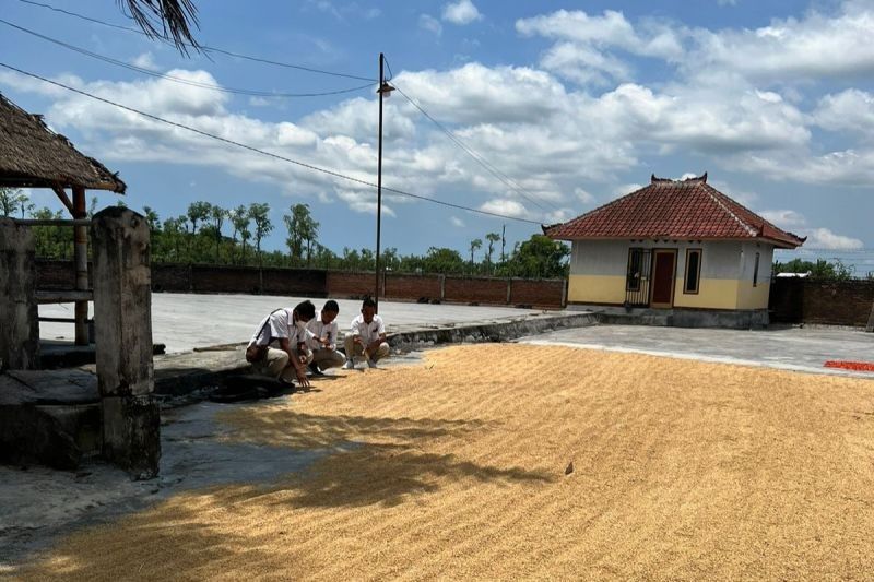 Pj. Gubernur NTB Minta Bulog Optimal Serap Gabah dan Jagung Petani