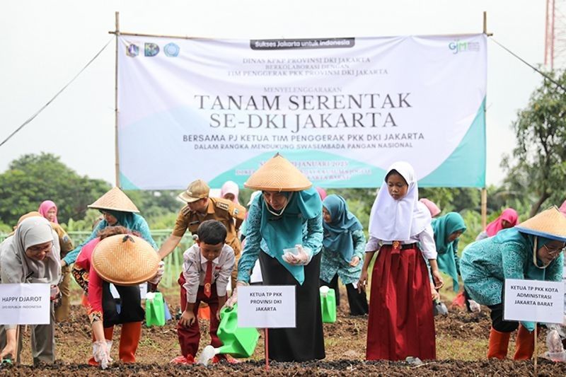 Tanam Serentak Jakarta: Dorong Swasembada Pangan dan Ketahanan Pangan