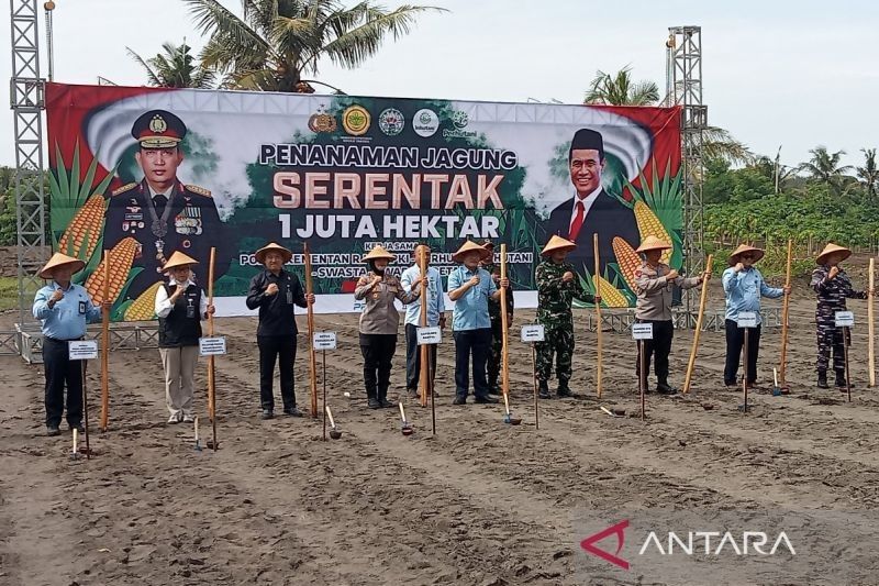 Polda DIY Tanam Jagung 4.300 Hektare, Dukung Swasembada Pangan Nasional