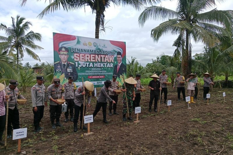 Lombok Tengah Sukseskan Gerakan Tanam Satu Juta Jagung