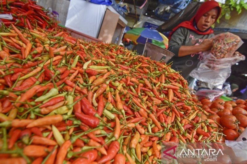 Harga Cabai di NTB Diprediksi Stabil Selama Ramadhan