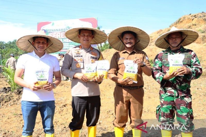 Polres Aceh Barat Tanam Jagung 500 Hektare, Dukung Swasembada Pangan Nasional