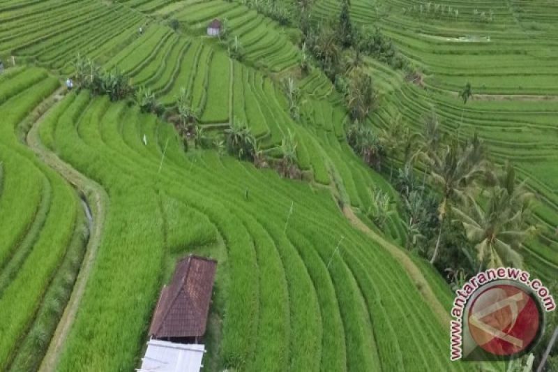 Bali Incar 6,5 Juta Wisatawan Mancanegara di 2025