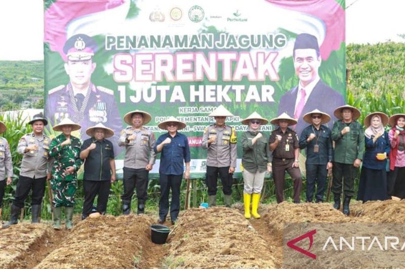 Forkopimda Sukabumi Tanam Jagung Dukung Swasembada Pangan 2025