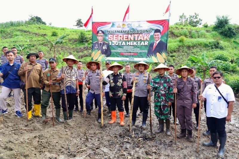 Kudus Tambah Lahan Jagung 34,5 Hektare, Dorong Swasembada Pangan