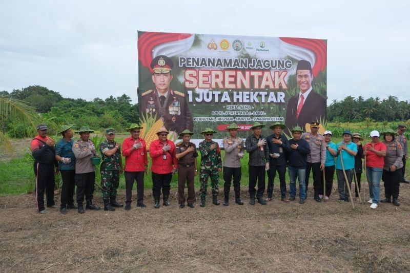 TNI-Polri dan Pemkab Tabanan Tanam Jagung: Wujudkan Ketahanan Pangan Nasional