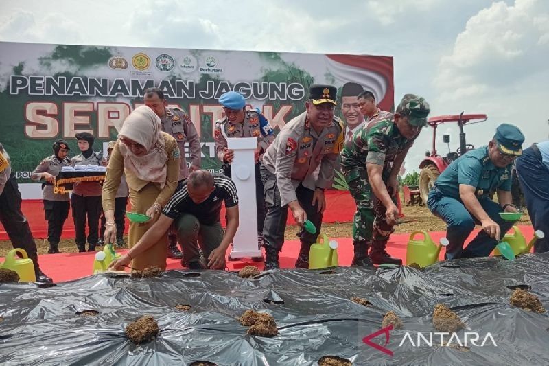 Polda Sumut Tanam Jagung: Wujudkan Ketahanan Pangan Nasional