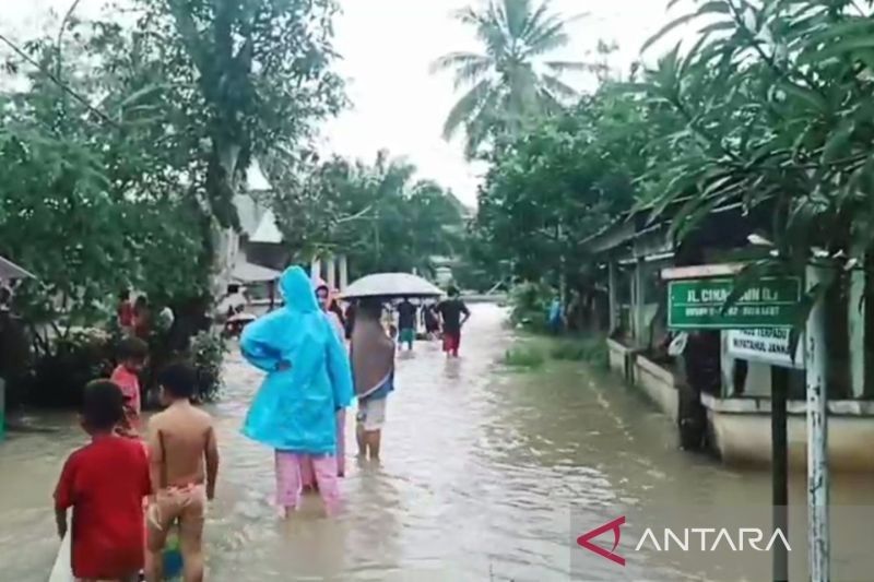 Waspada Buaya dan Ular! Banjir di Bangka Barat Ancam Warga