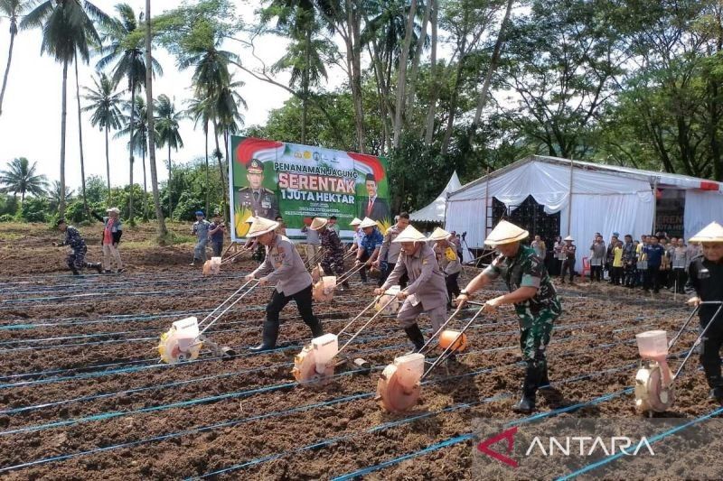 Polda Sulut Tanam Jagung 105,7 Ha, Dukung Ketahanan Pangan Nasional