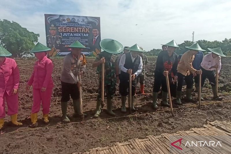 Pemkot Madiun Tanam Jagung, Dukung Ketahanan Pangan Nasional