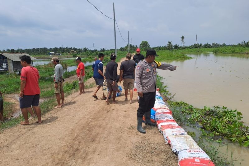 Gotong Royong Warga dan Polisi Tanggulangi Jebolnya Tanggul di Lampung Selatan